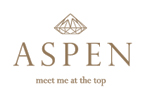 Aspen One repair